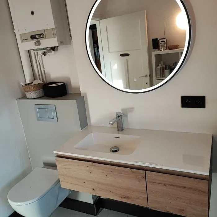 sanitaire